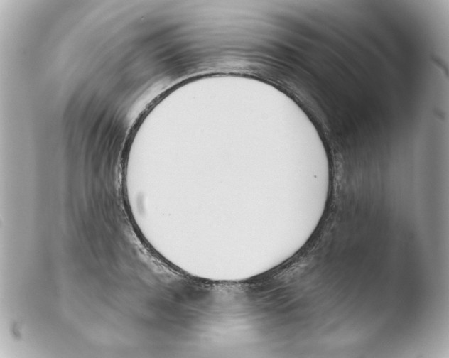 X0000103500944200810101043