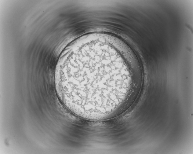 X0000103500945200810101043