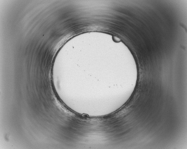 X0000103500946200810101043