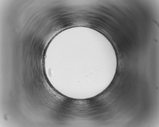 X0000103500947200810101043