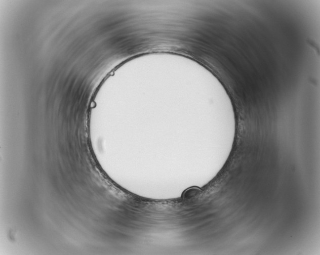 X0000103500948200810101043