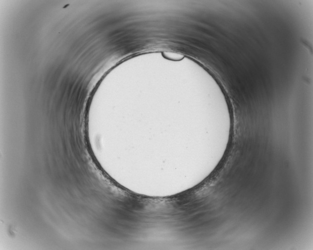 X0000103500949200810101043