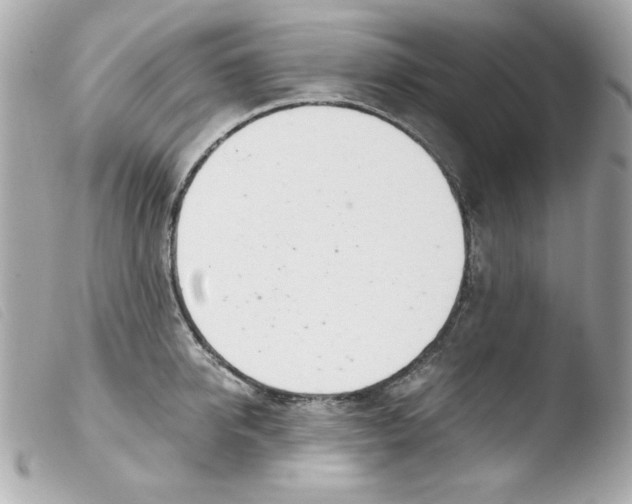 X0000103500950200810101043