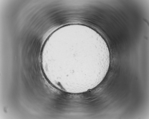 X0000103500951200810101043