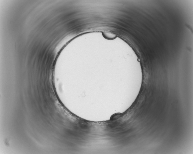 X0000103500952200810101043