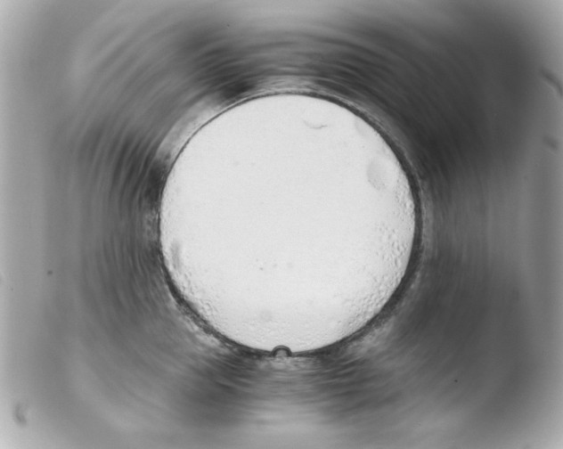 X0000103500953200810101043