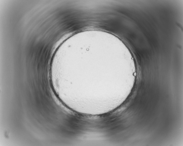 X0000103500957200810101043