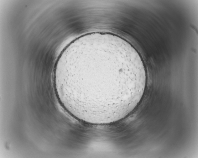 X0000103500958200810101043