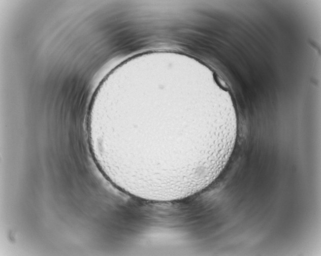 X0000103500959200810101043