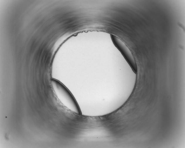 X0000103500960200810101043