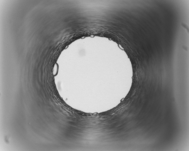 X0000103500961200810101043