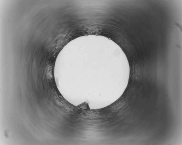 X0000103500962200810101043