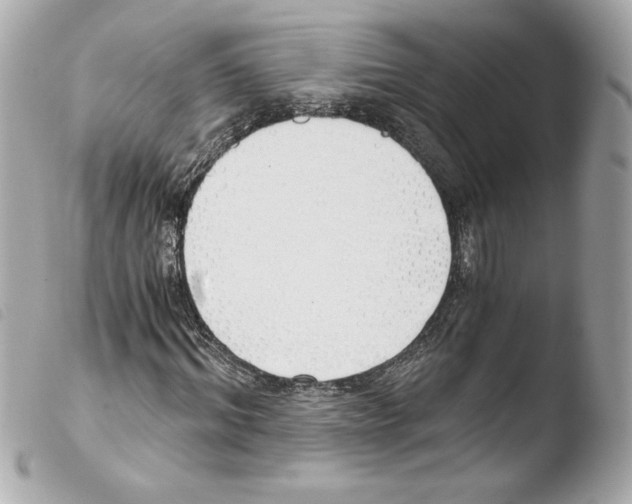 X0000103500964200810101043