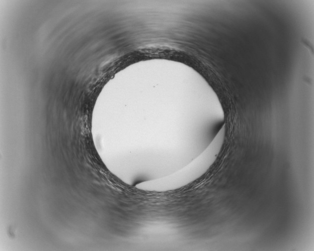 X0000103500965200810101043