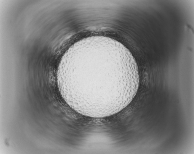 X0000103500966200810101043