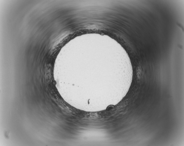 X0000103500968200810101043