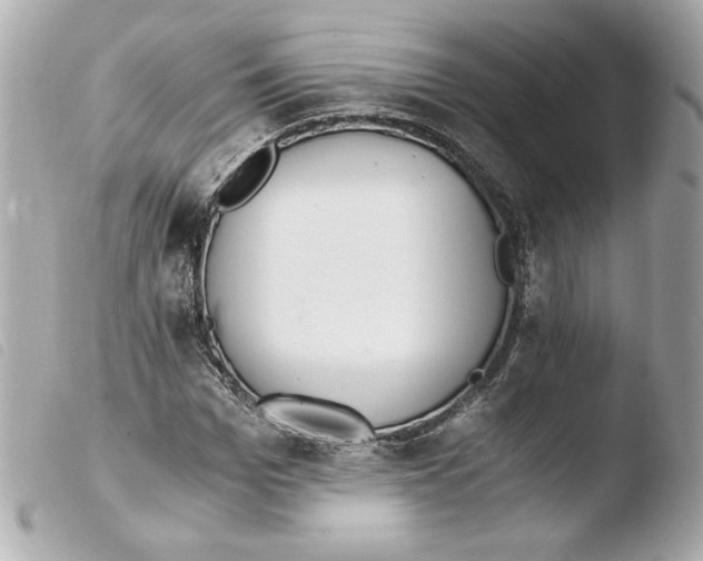 X0000103500969200810101043