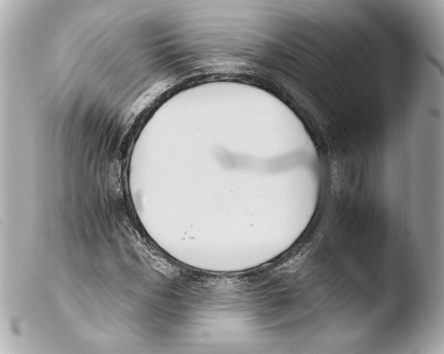 X0000103500970200810101043