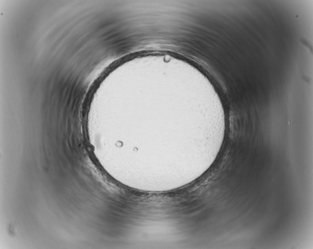 X0000103500972200810101043