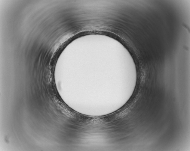 X0000103500974200810101042