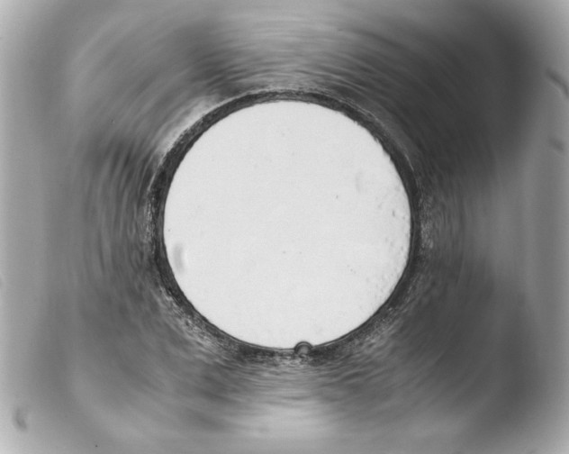 X0000103500975200810101042