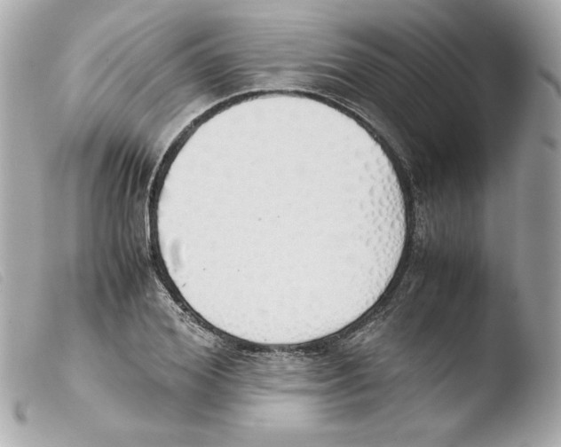 X0000103500980200810101042