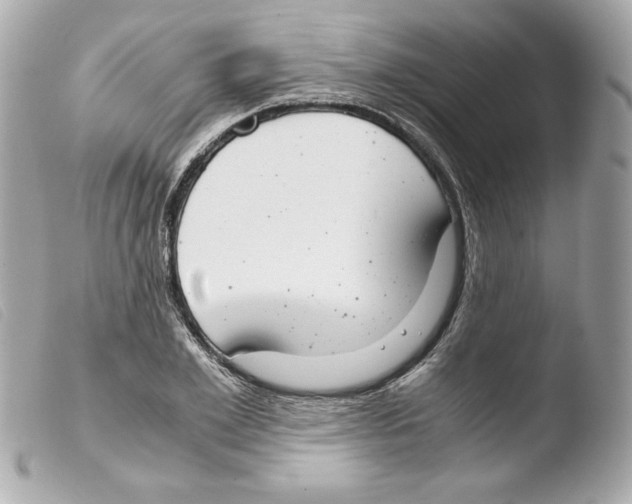 X0000103500981200810101042