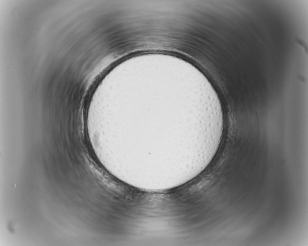 X0000103500982200810101042