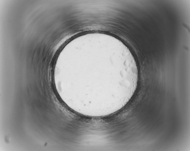 X0000103500983200810101042