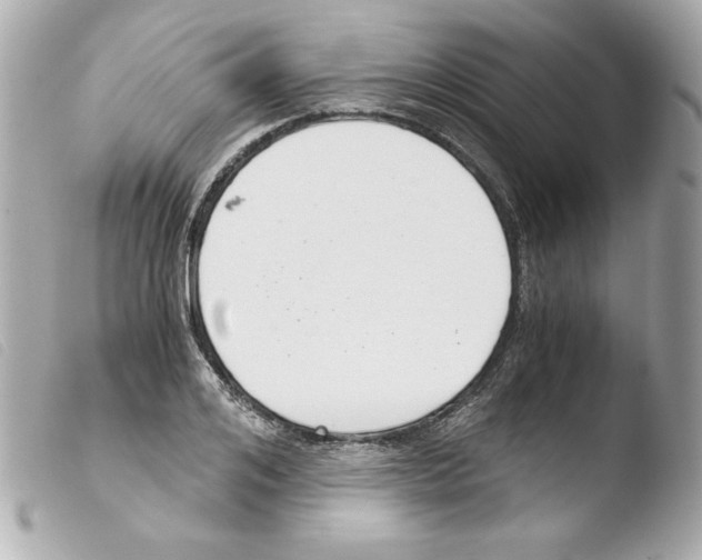 X0000103500984200810101042