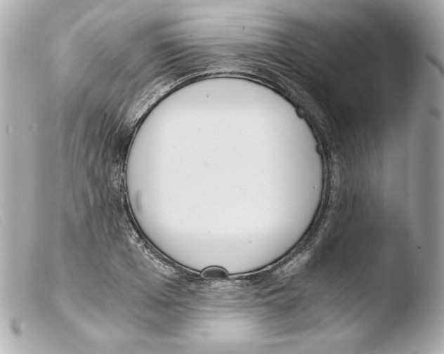 X0000103500985200810101042