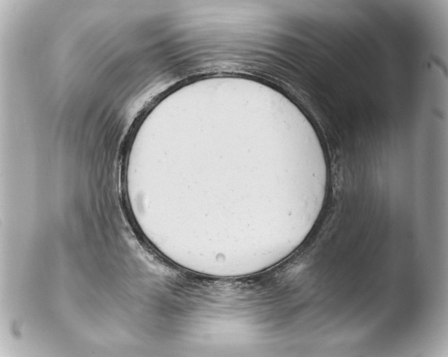 X0000103500987200810101042