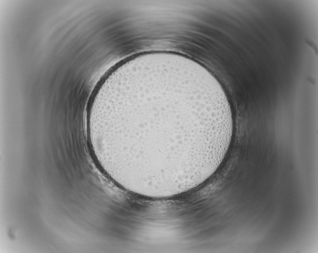 X0000103500988200810101042