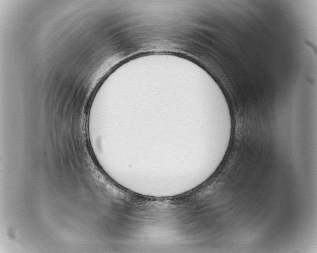 X0000103500990200810101042