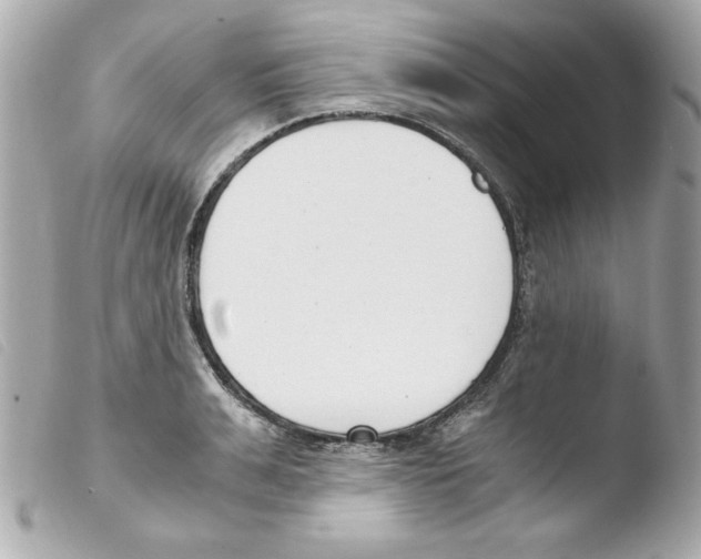 X0000103500991200810101042