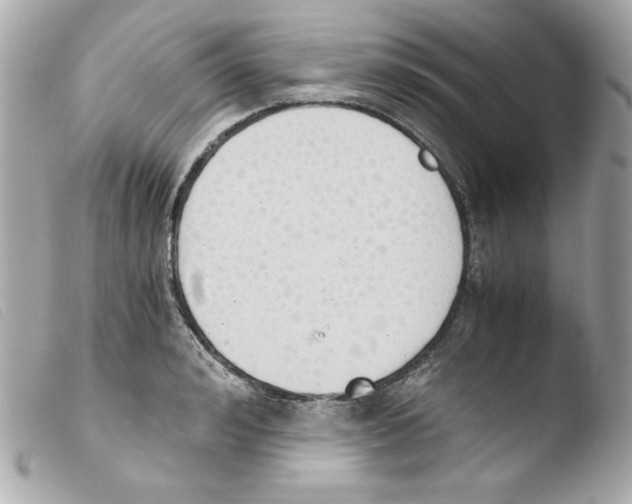 X0000103500992200810101042