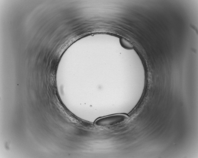 X0000103500993200810101042