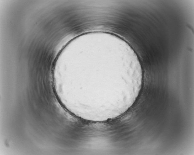 X0000103500998200810101042