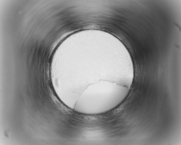 X0000103501000200810101042