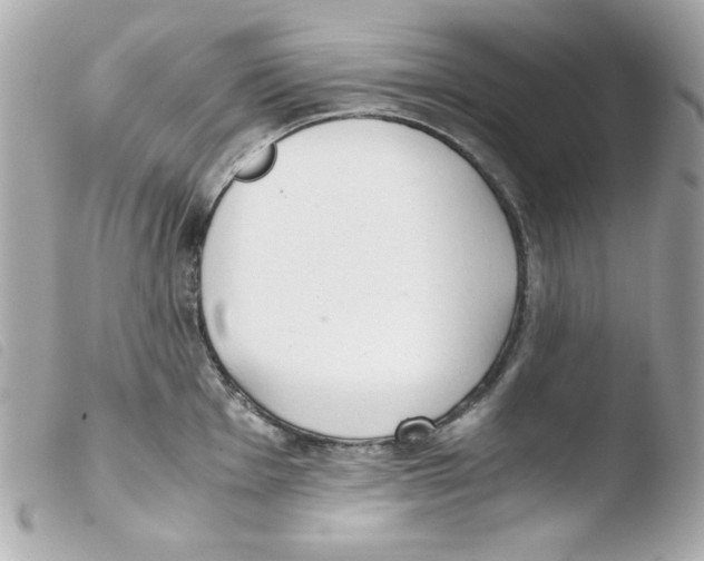 X0000103501001200810101042