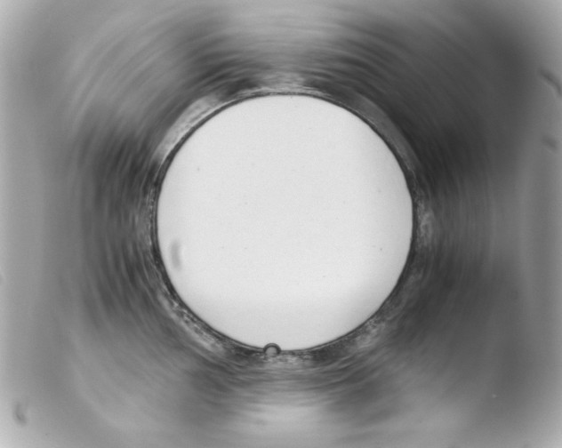 X0000103501002200810101042