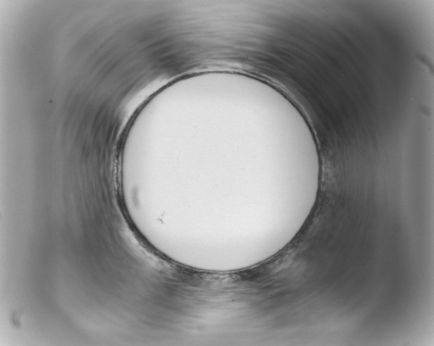 X0000103501003200810101042