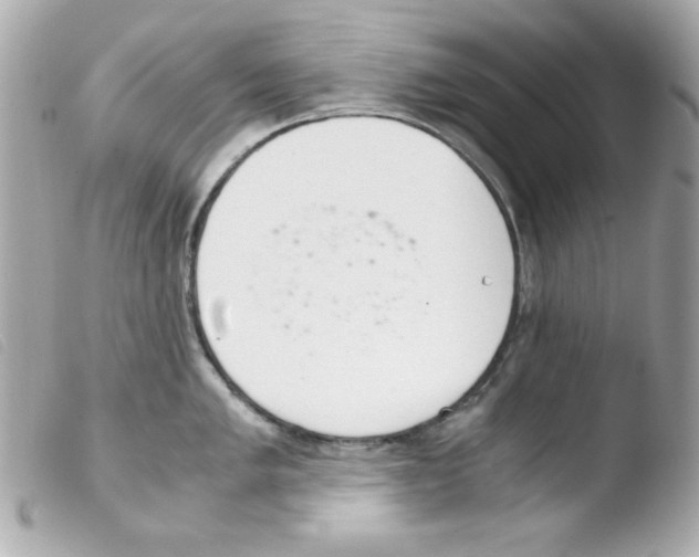 X0000103501005200810101042