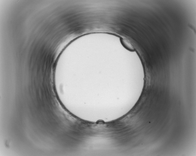 X0000103501006200810101042