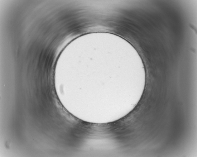 X0000103501008200810101042