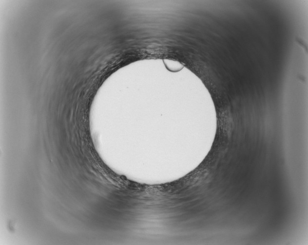 X0000103501009200810101041