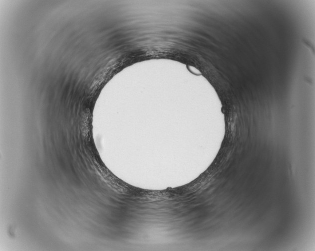 X0000103501012200810101041