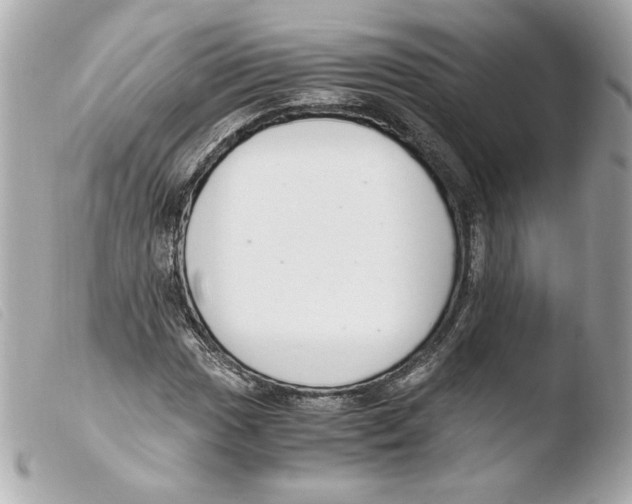 X0000103501017200810101041