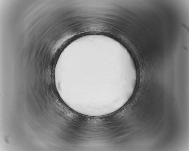 X0000103501019200810101041