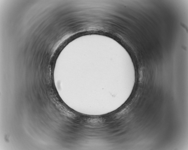 X0000103501021200810101042